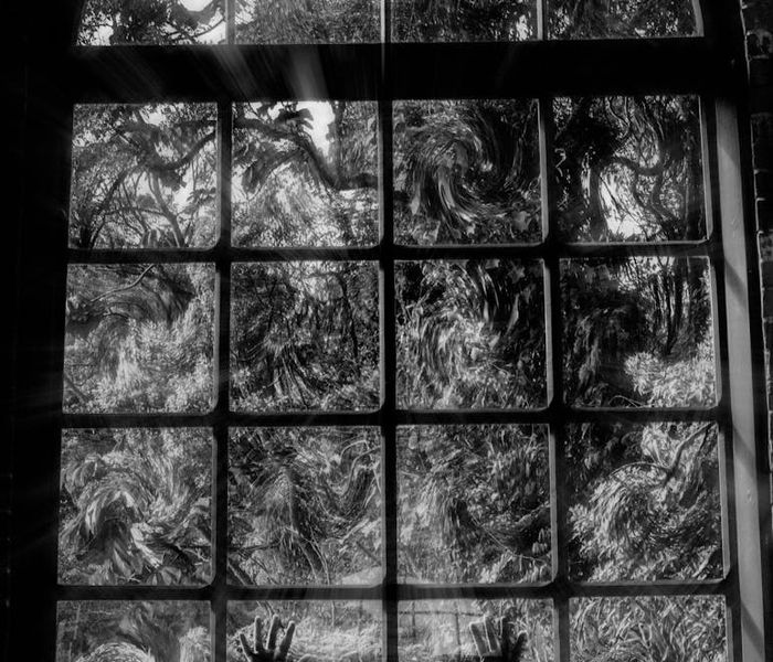 Person meditating by a large window overlooking a calm nature scene.
